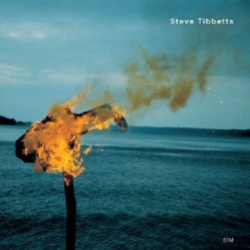 A Man About a Horse – Steve Tibbetts (ECM 2002)